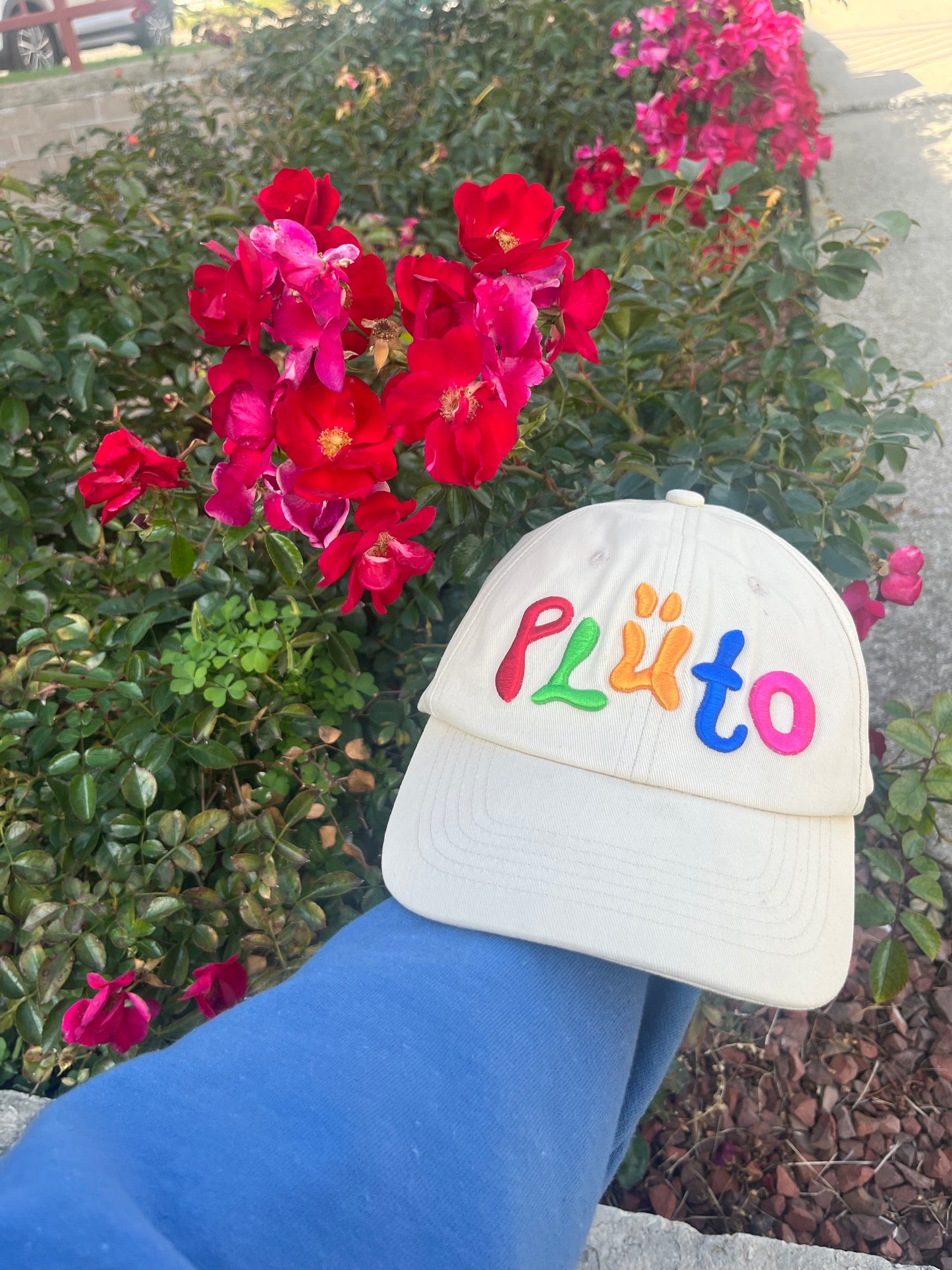 PLÜTO DAD HAT