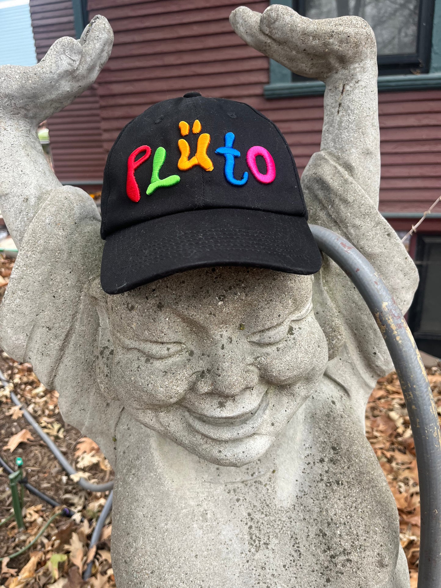 PLÜTO DAD HAT