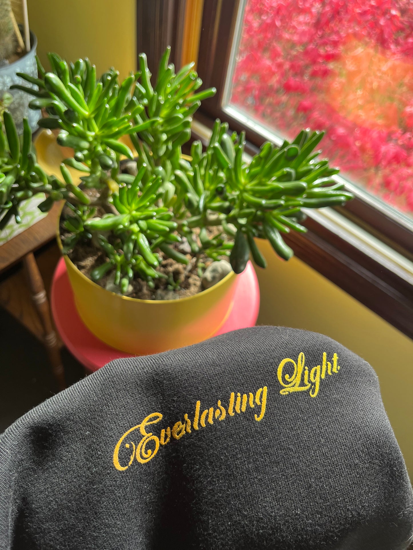 EVERLASTING LIGHT HOODIE
