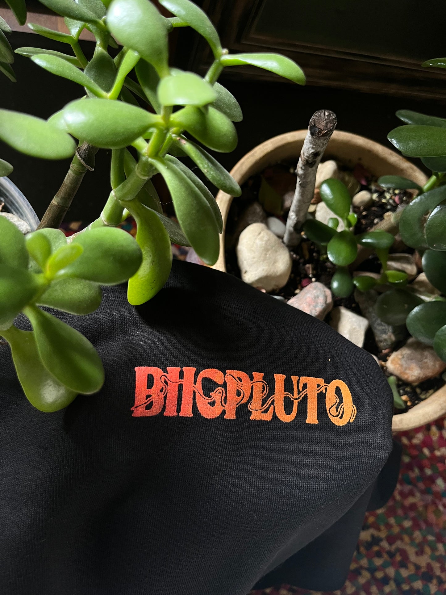 EVERLASTING LIGHT HOODIE